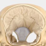 Youpala trotteur – Image 5